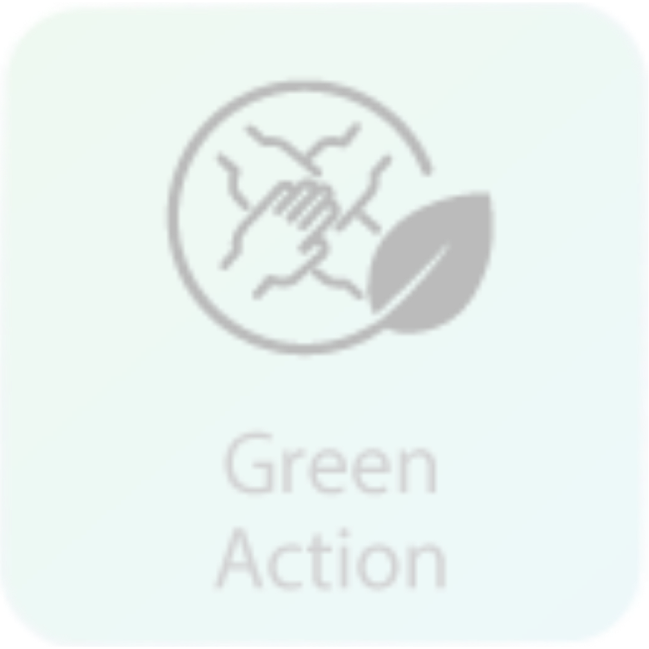 Action 6